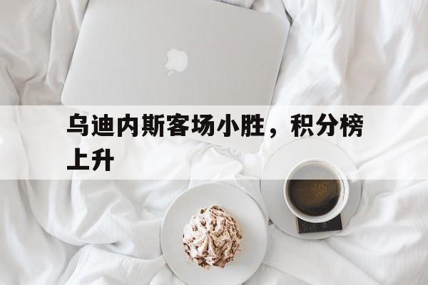 关于乌迪内斯客场小胜，积分榜上升的信息